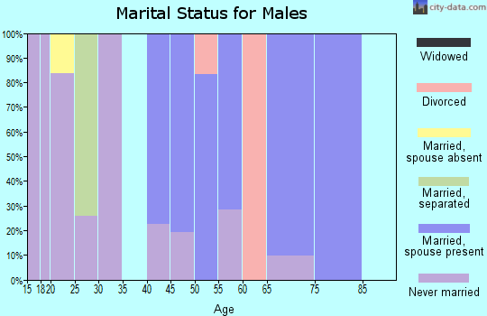 Zip code 18350 marital status for males