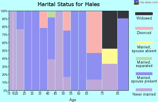 Zip code 18351 marital status for males
