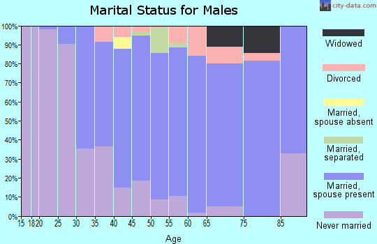 Zip code 18353 marital status for males