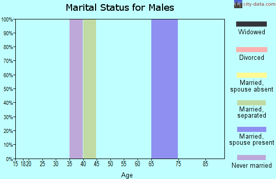 Zip code 18356 marital status for males