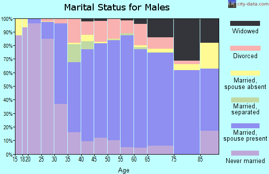 Zip code 18360 marital status for males