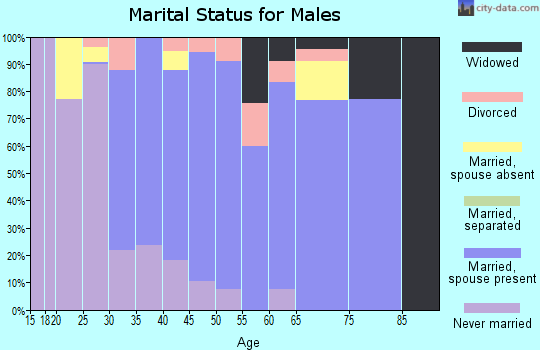 Zip code 18403 marital status for males