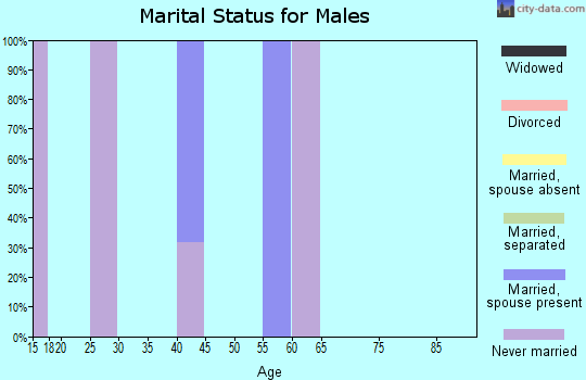 Zip code 18413 marital status for males