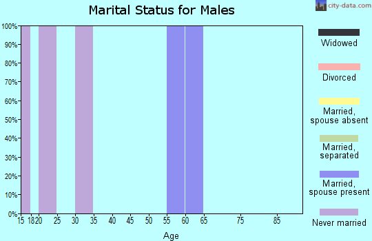 Zip code 18420 marital status for males