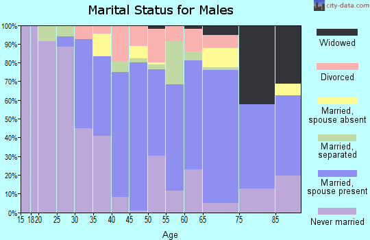 Zip code 18421 marital status for males