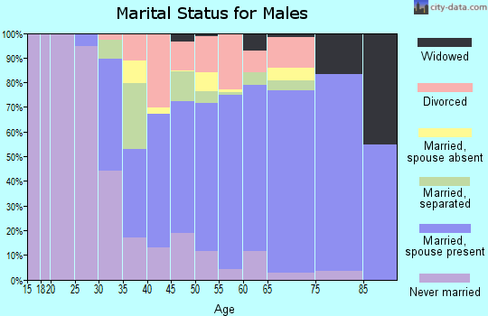 Zip code 18424 marital status for males
