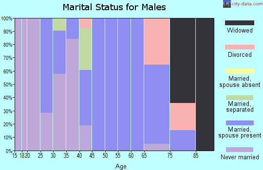 Zip code 18425 marital status for males