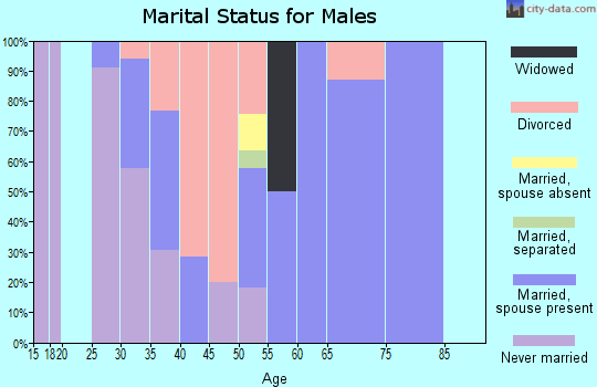 Zip code 18439 marital status for males
