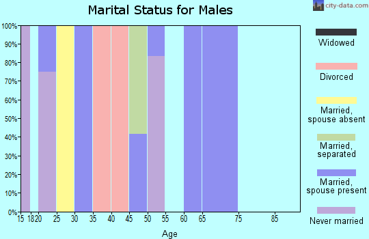 Zip code 18441 marital status for males