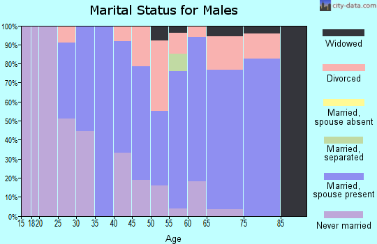 Zip code 18453 marital status for males