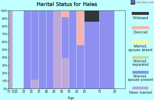 Zip code 18456 marital status for males