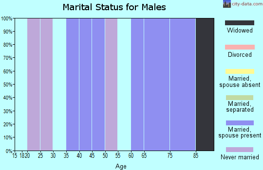 Zip code 18460 marital status for males