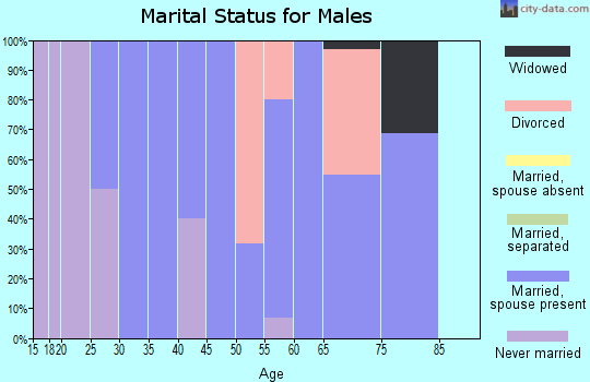 Zip code 18462 marital status for males