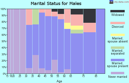 Zip code 18465 marital status for males