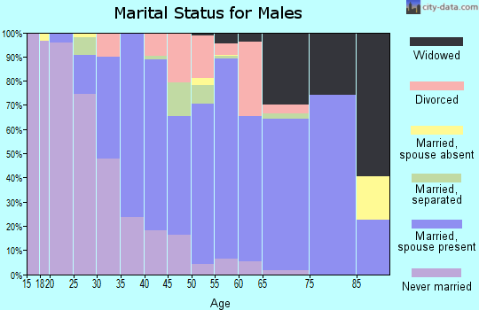 Zip code 18466 marital status for males