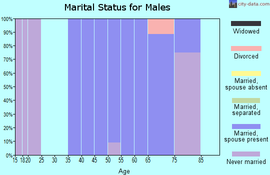 Zip code 18471 marital status for males