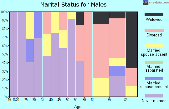 Zip code 18503 marital status for males