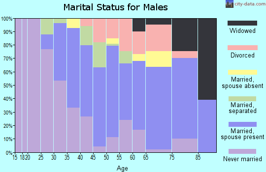 Zip code 18518 marital status for males