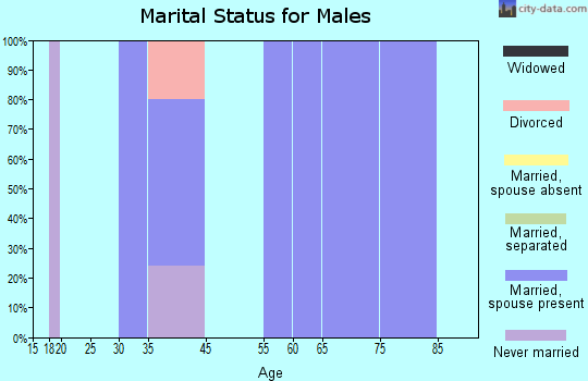 Zip code 18601 marital status for males