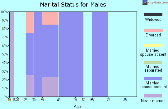 Zip code 18611 marital status for males