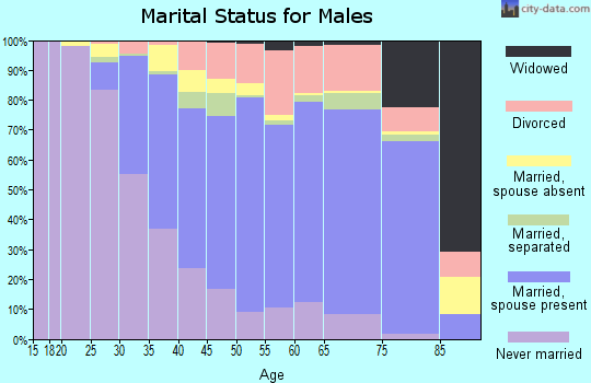 Zip code 18612 marital status for males