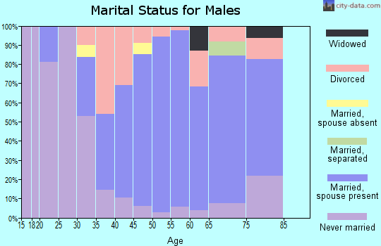 Zip code 18615 marital status for males