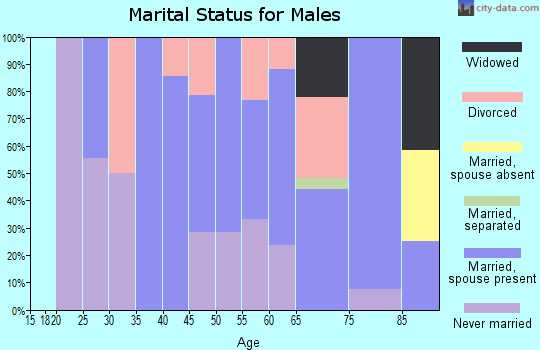 Zip code 18616 marital status for males