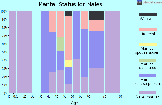 Zip code 18617 marital status for males