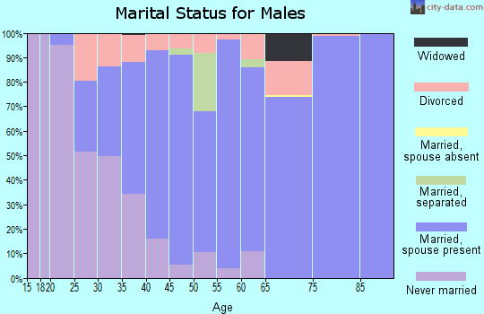 Zip code 18618 marital status for males