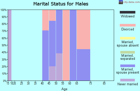 Zip code 18622 marital status for males