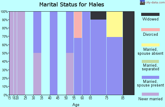 Zip code 18625 marital status for males