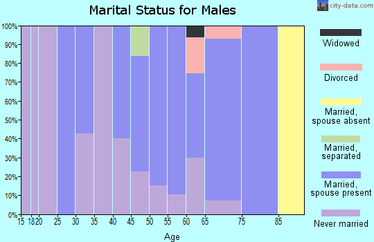 Zip code 18626 marital status for males