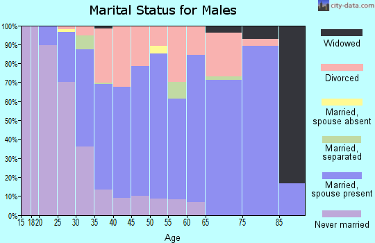 Zip code 18630 marital status for males