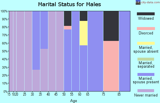 Zip code 18631 marital status for males