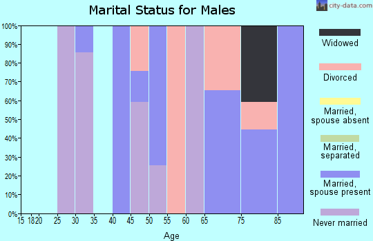Zip code 18632 marital status for males