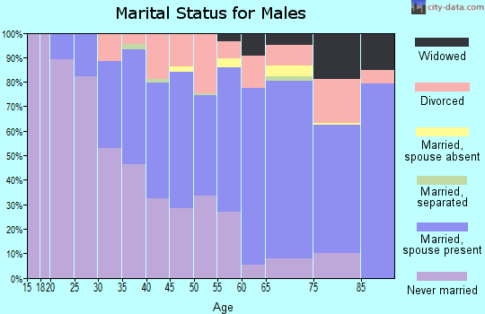 Zip code 18634 marital status for males