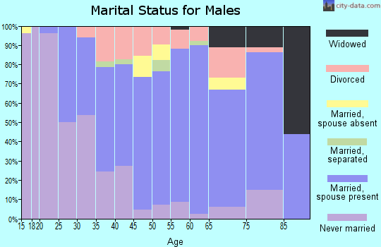 Zip code 18635 marital status for males