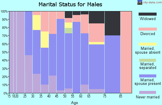 Zip code 18636 marital status for males