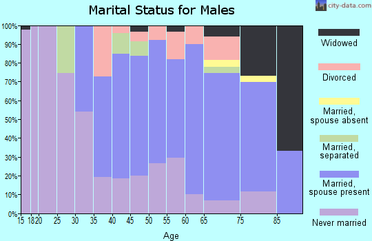 Zip code 18641 marital status for males