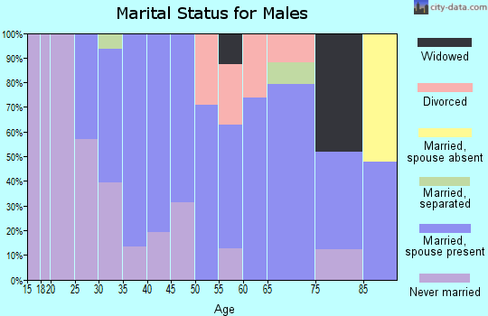 Zip code 18642 marital status for males