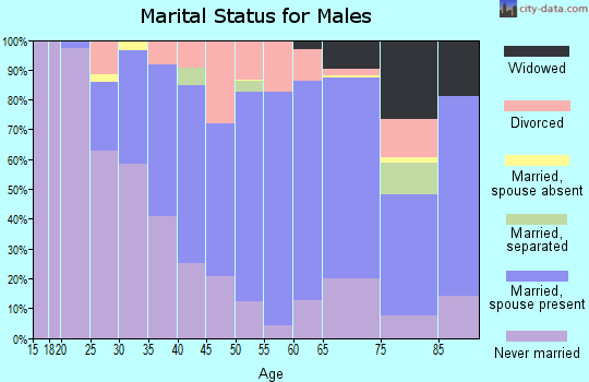 Zip code 18643 marital status for males