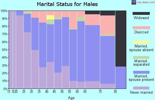 Zip code 18651 marital status for males