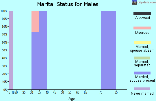 Zip code 18653 marital status for males