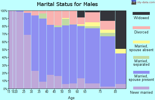 Zip code 18655 marital status for males