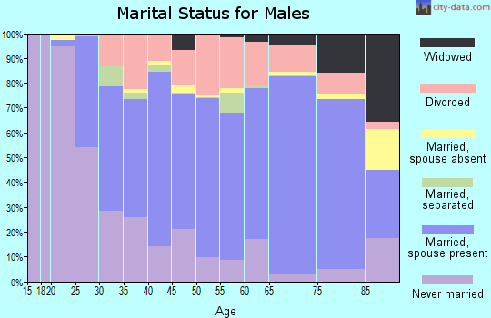 Zip code 18657 marital status for males