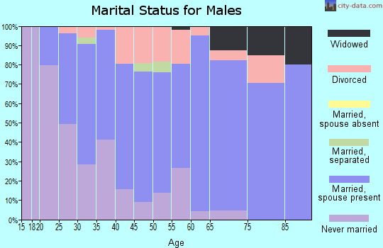 Zip code 18660 marital status for males