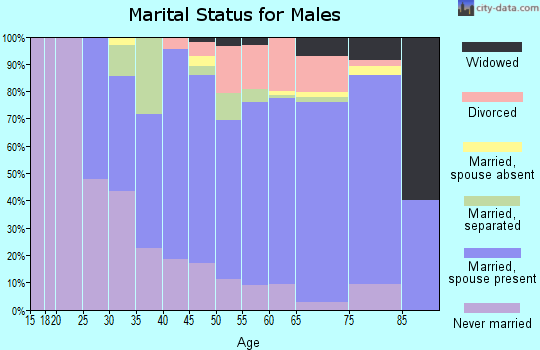 Zip code 18661 marital status for males