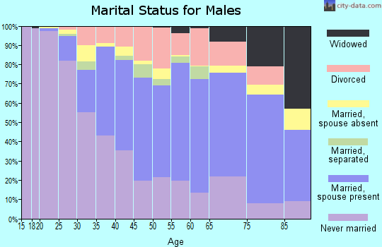 Zip code 18702 marital status for males