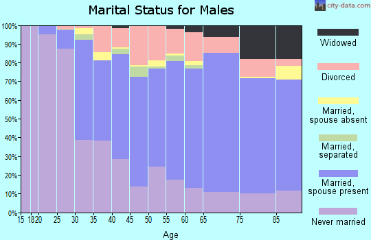 Zip code 18704 marital status for males