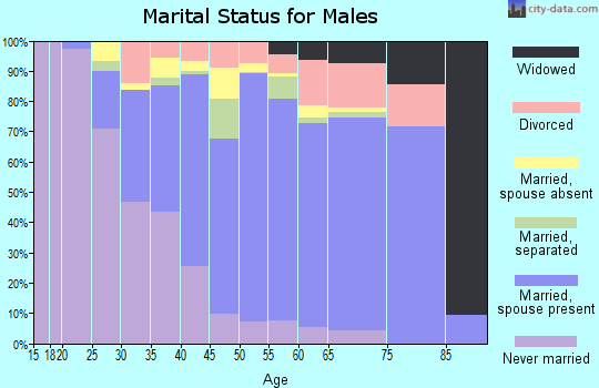 Zip code 18708 marital status for males